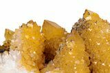 Sunshine Cactus Quartz Crystal Cluster - South Africa #303126-1